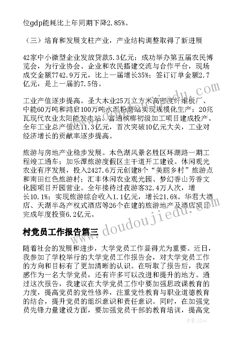 村党员工作报告