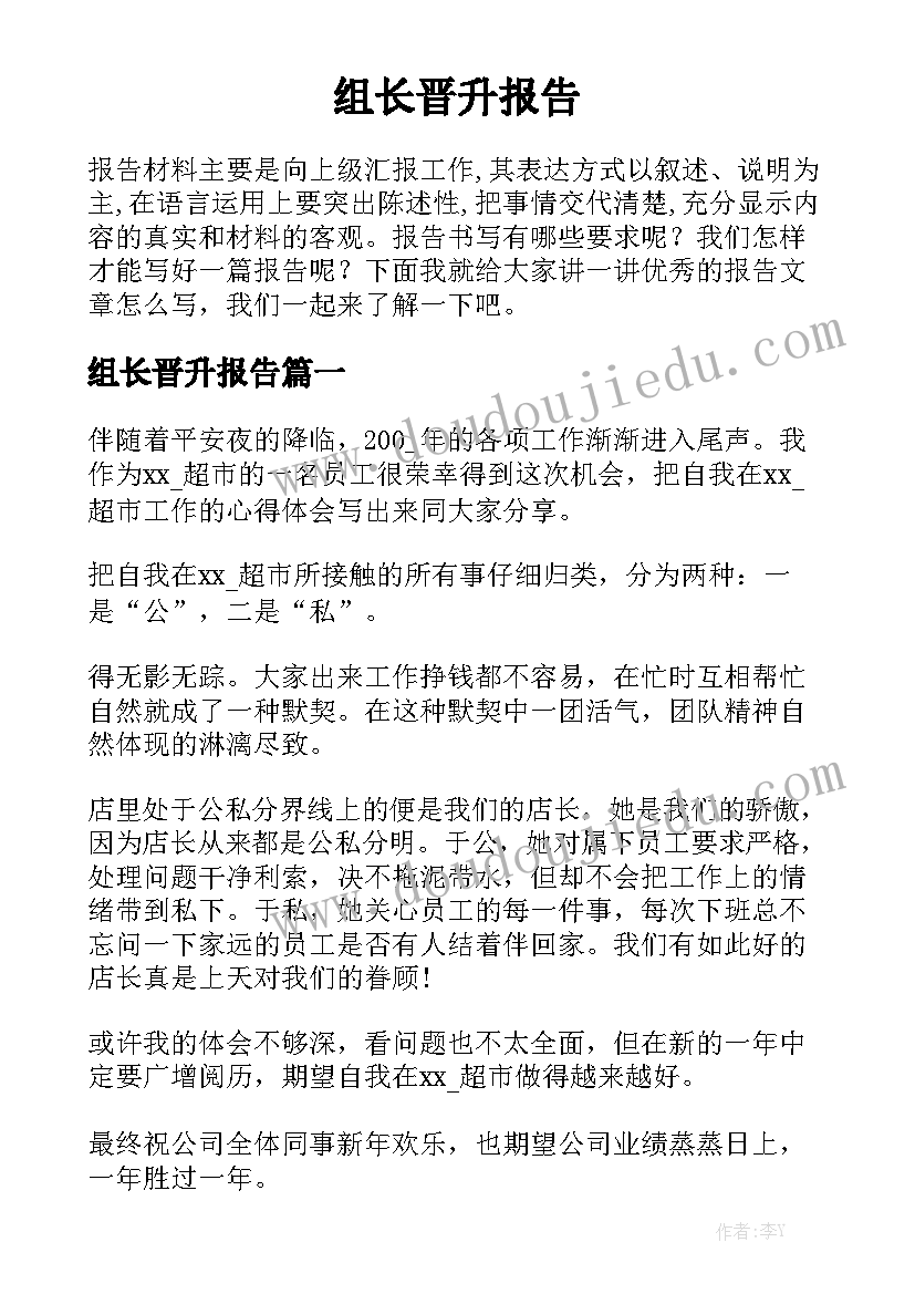 组长晋升报告