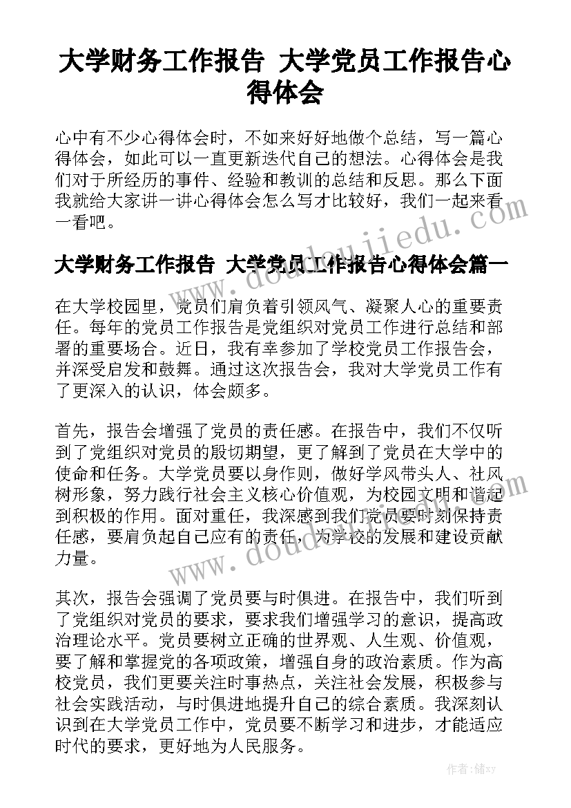 大学财务工作报告 大学党员工作报告心得体会