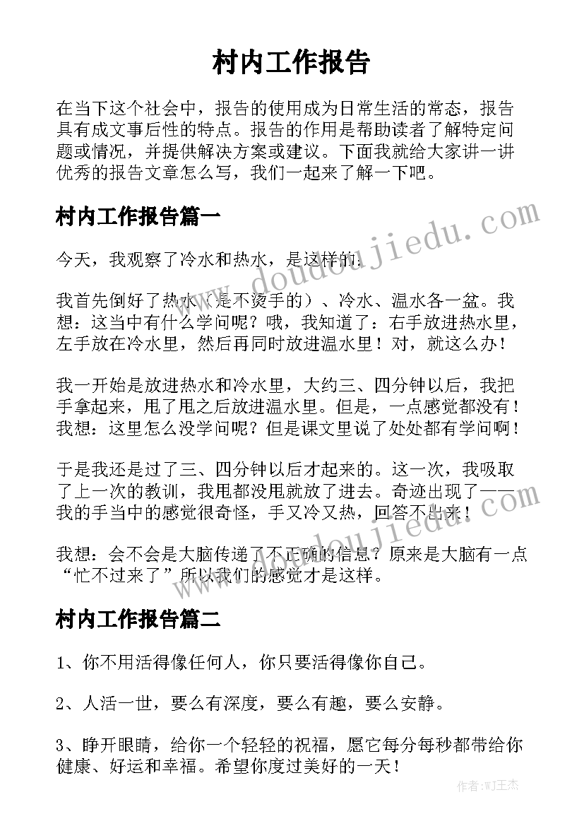 村内工作报告