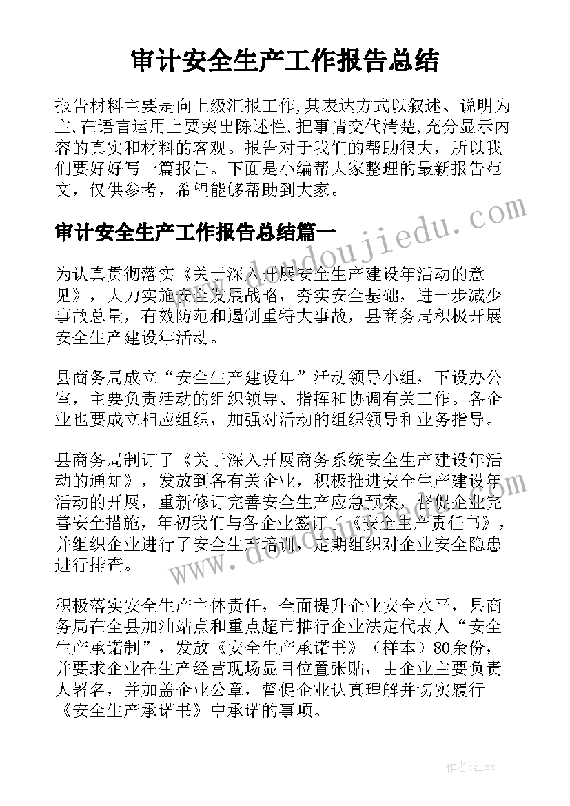 审计安全生产工作报告总结