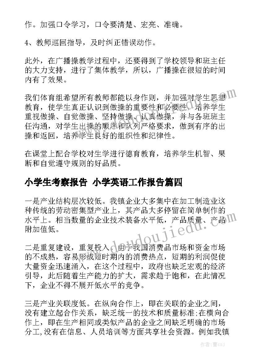 小学生考察报告 小学英语工作报告