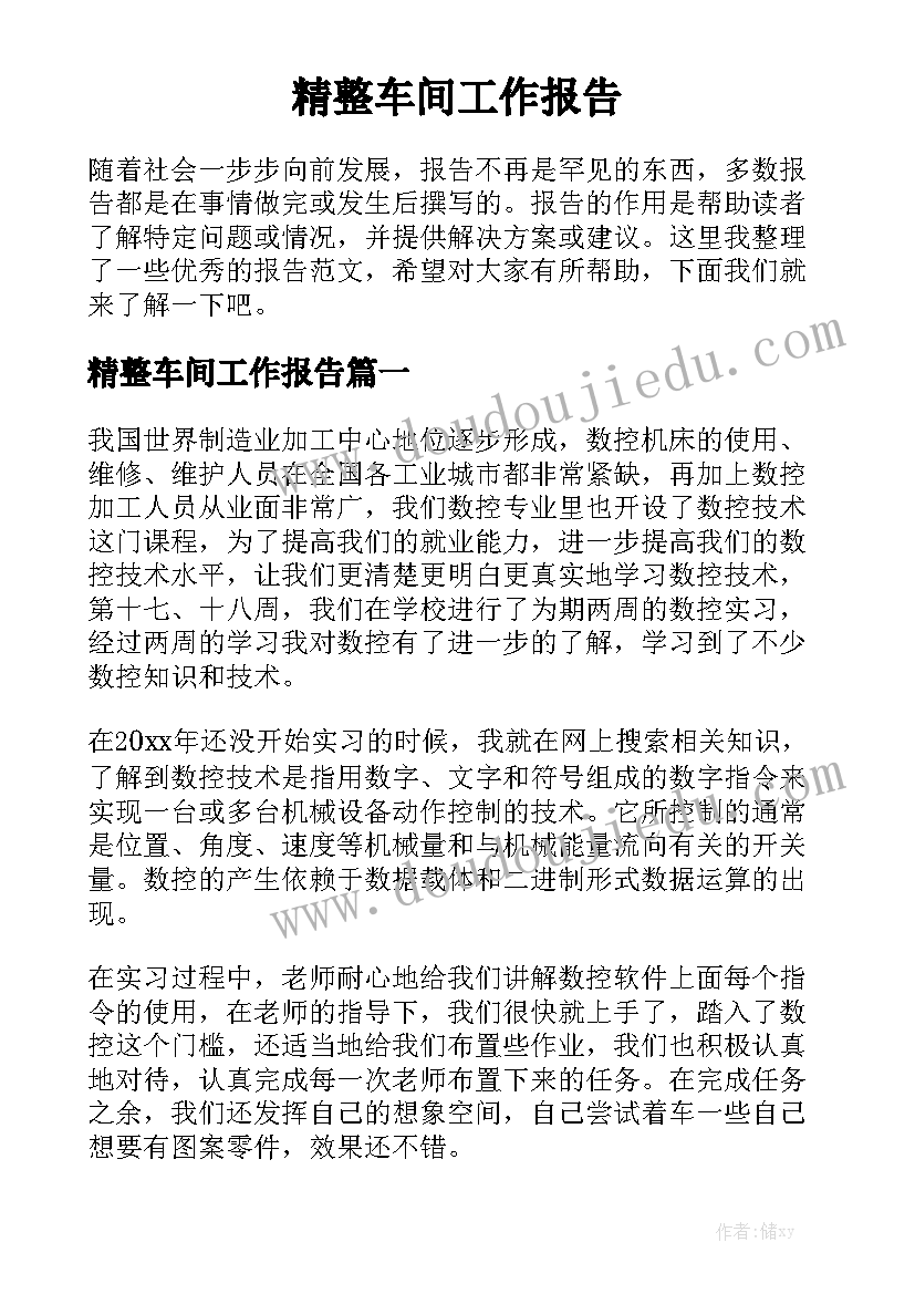 精整车间工作报告