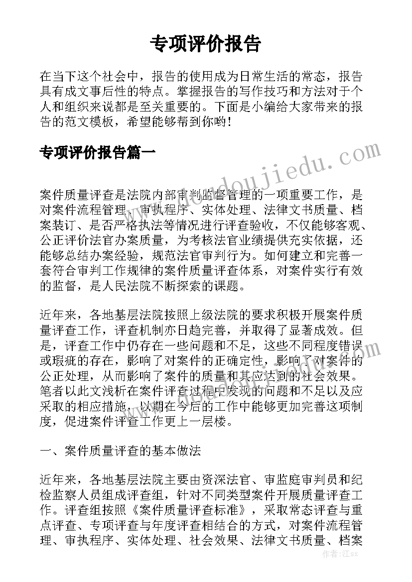 深入的专项评价报告分析