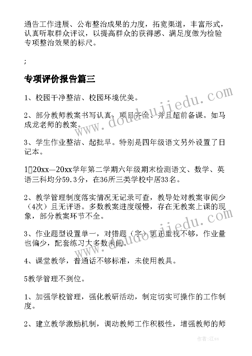 深入的专项评价报告分析