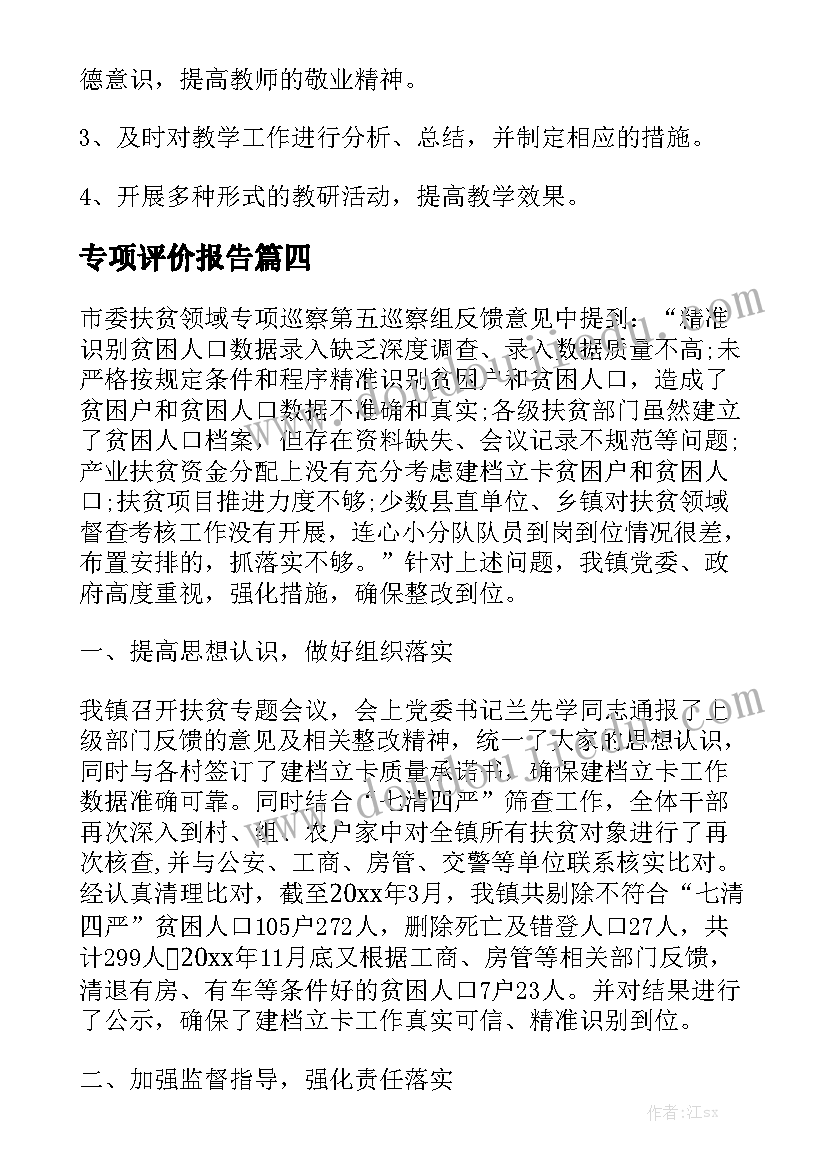 深入的专项评价报告分析