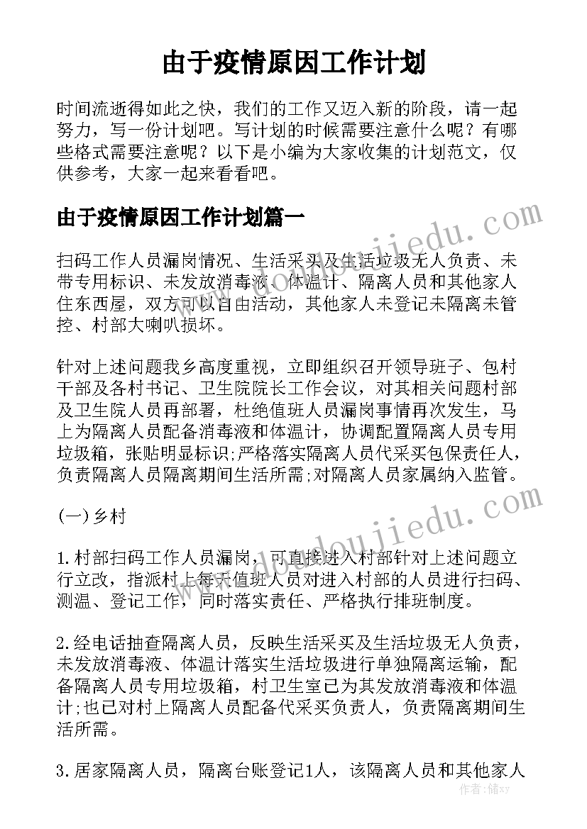 由于疫情原因工作计划