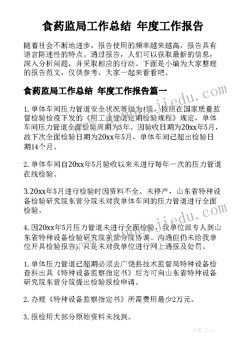 食药监局工作总结 年度工作报告