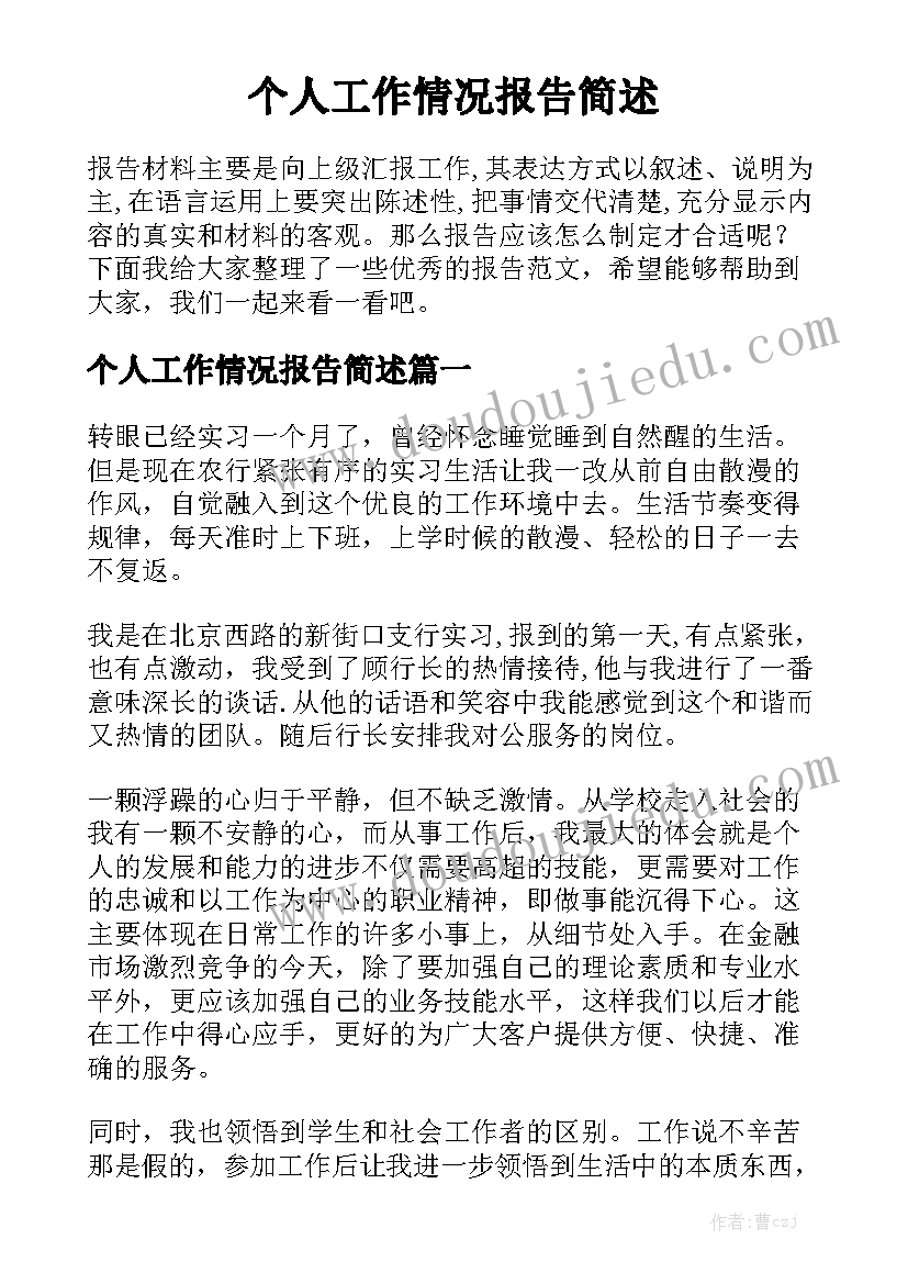 个人工作情况报告简述