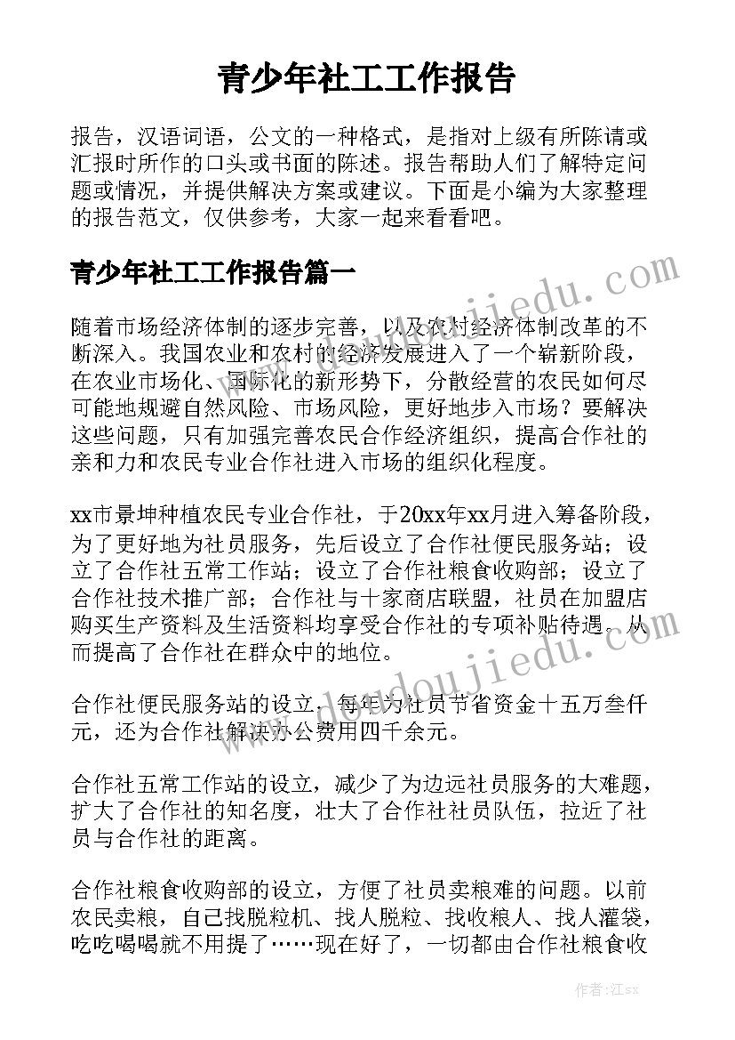 青少年社工工作报告