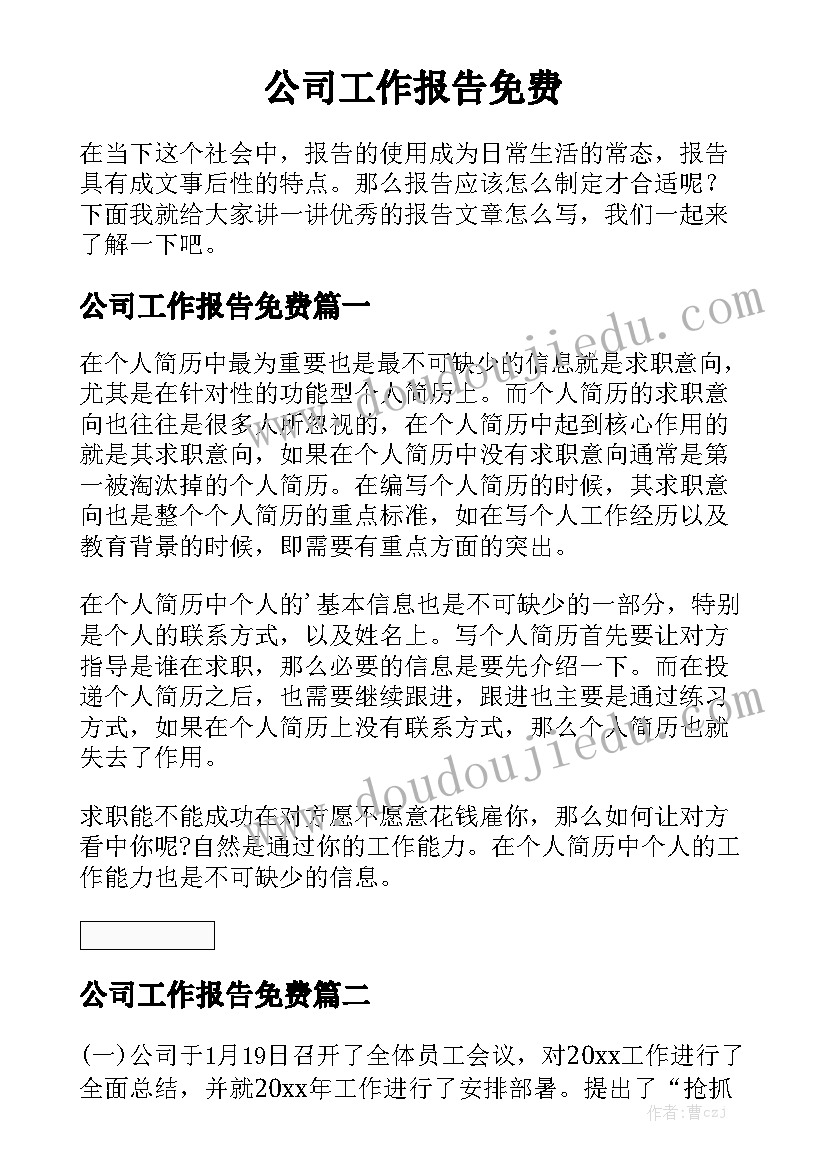 公司工作报告免费