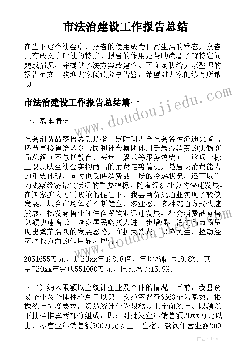 市法治建设工作报告总结