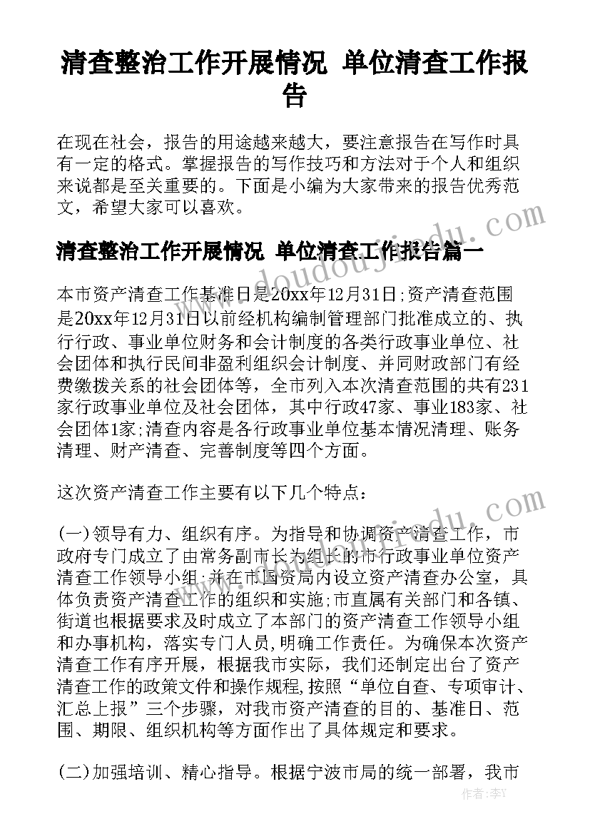 清查整治工作开展情况 单位清查工作报告