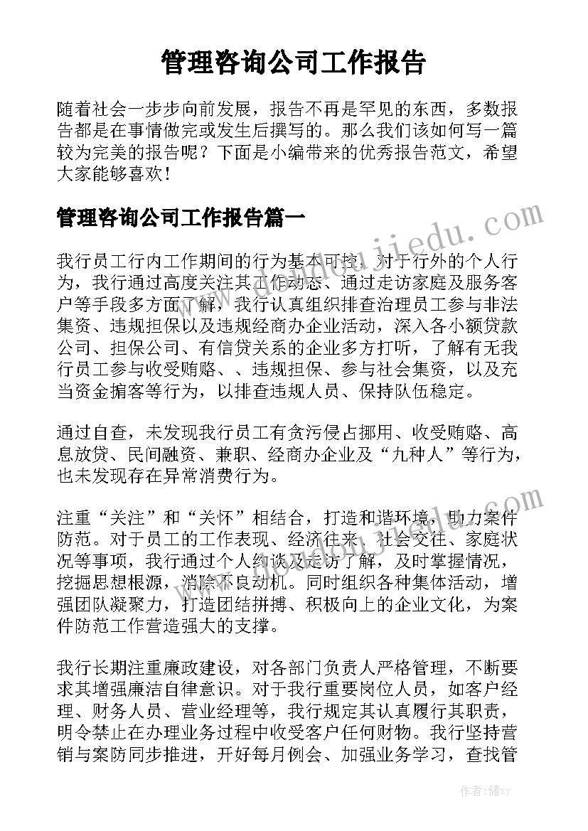 管理咨询公司工作报告