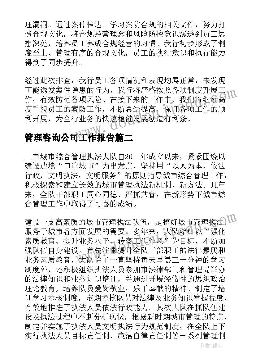 管理咨询公司工作报告