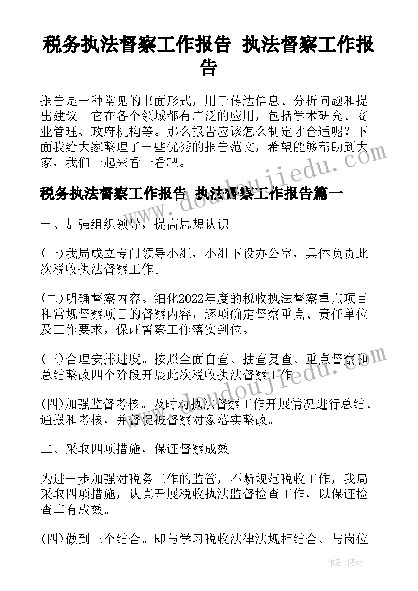 税务执法督察工作报告 执法督察工作报告