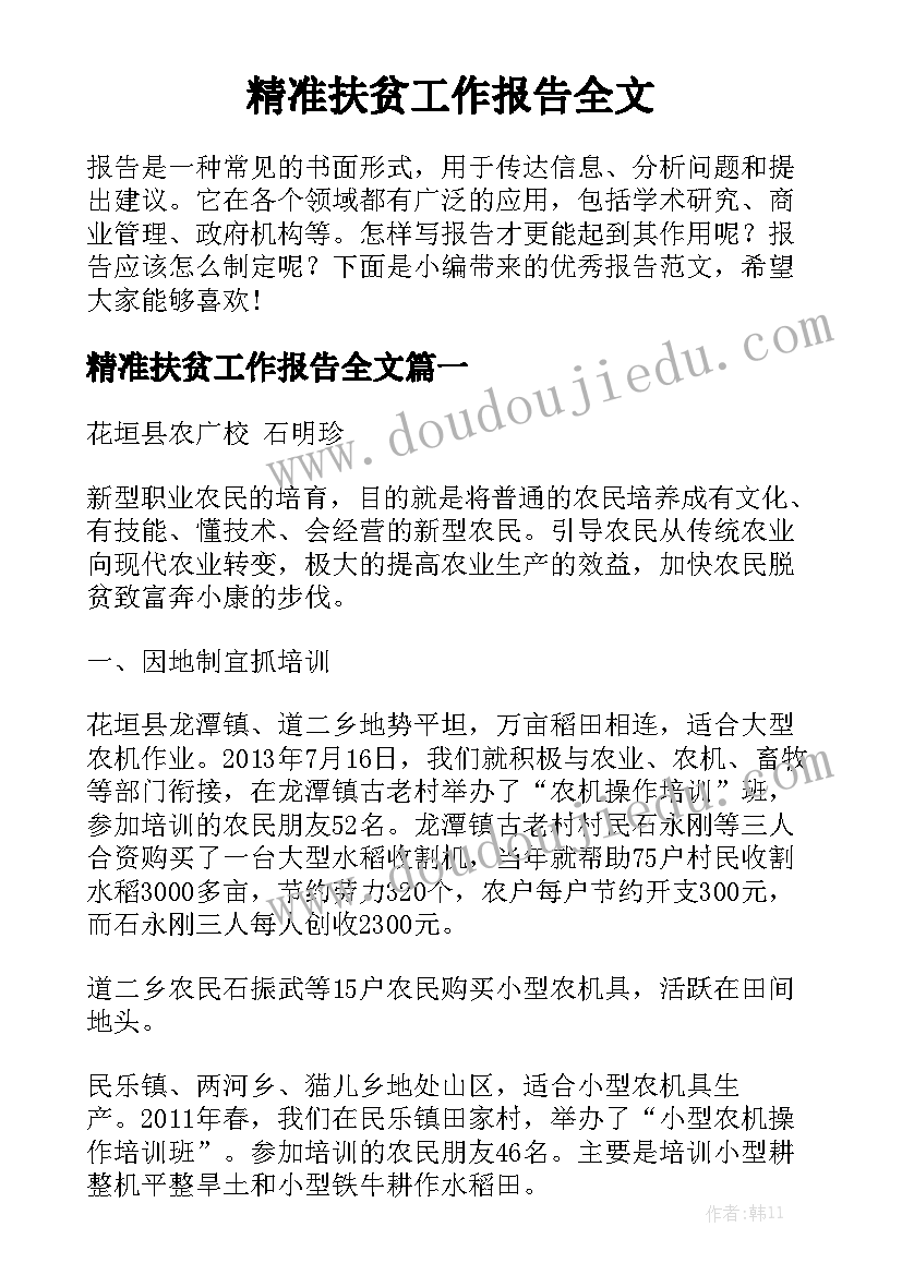 精准扶贫工作报告全文