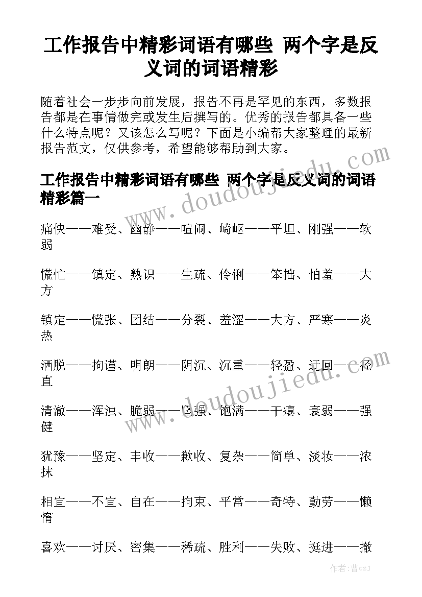 工作报告中精彩词语有哪些 两个字是反义词的词语精彩