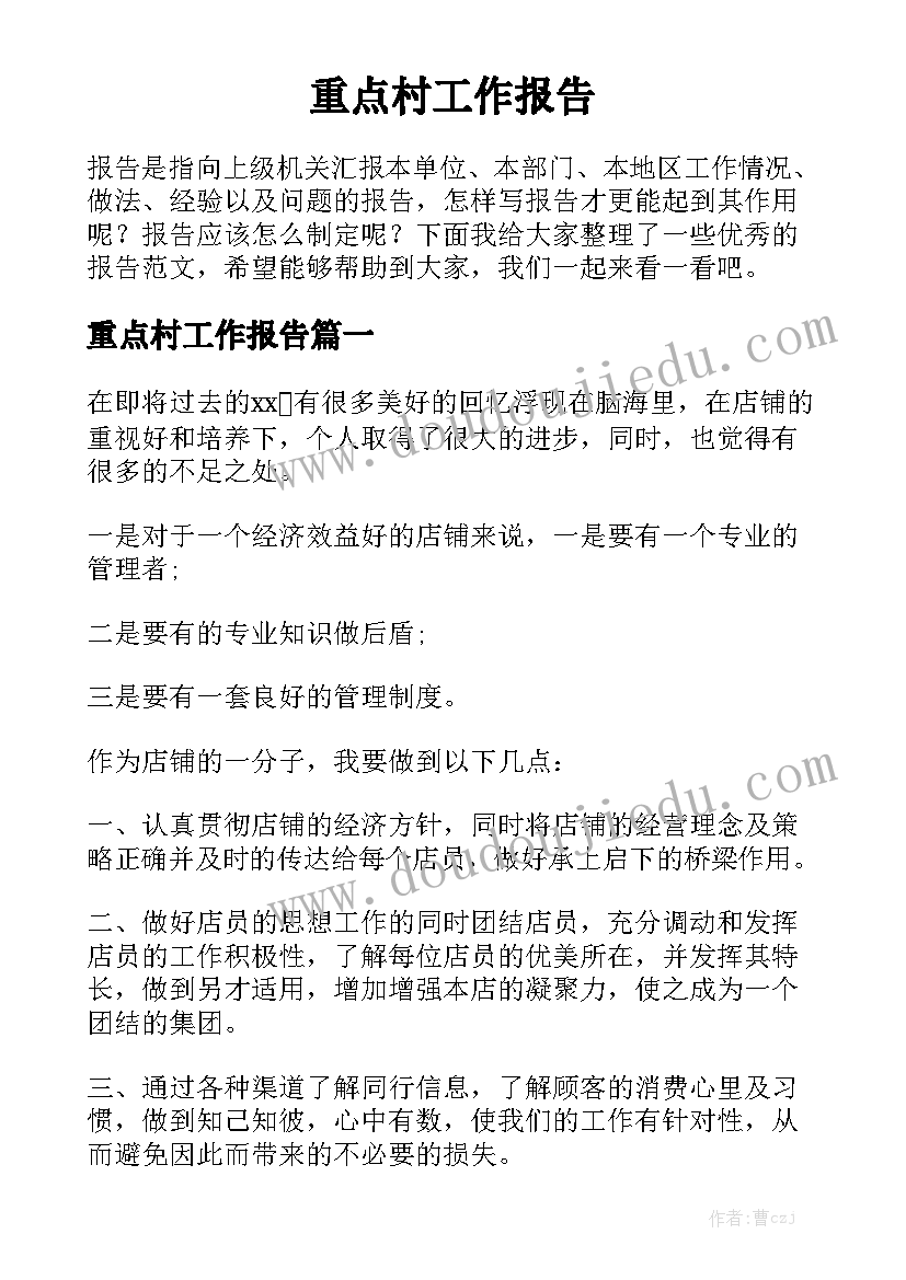 重点村工作报告