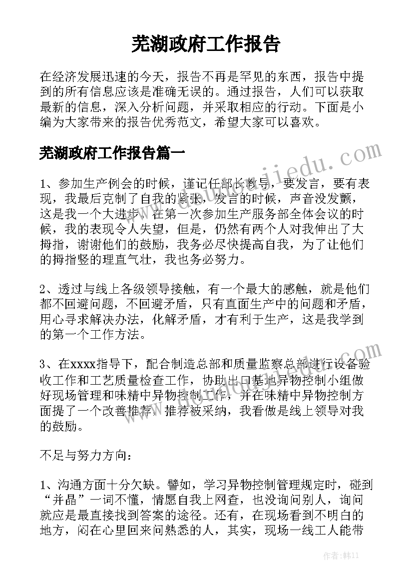 芜湖政府工作报告