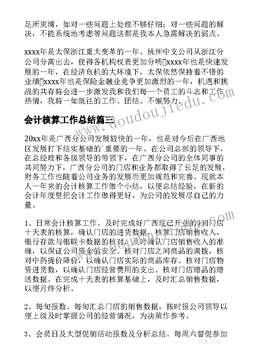 会计核算工作总结