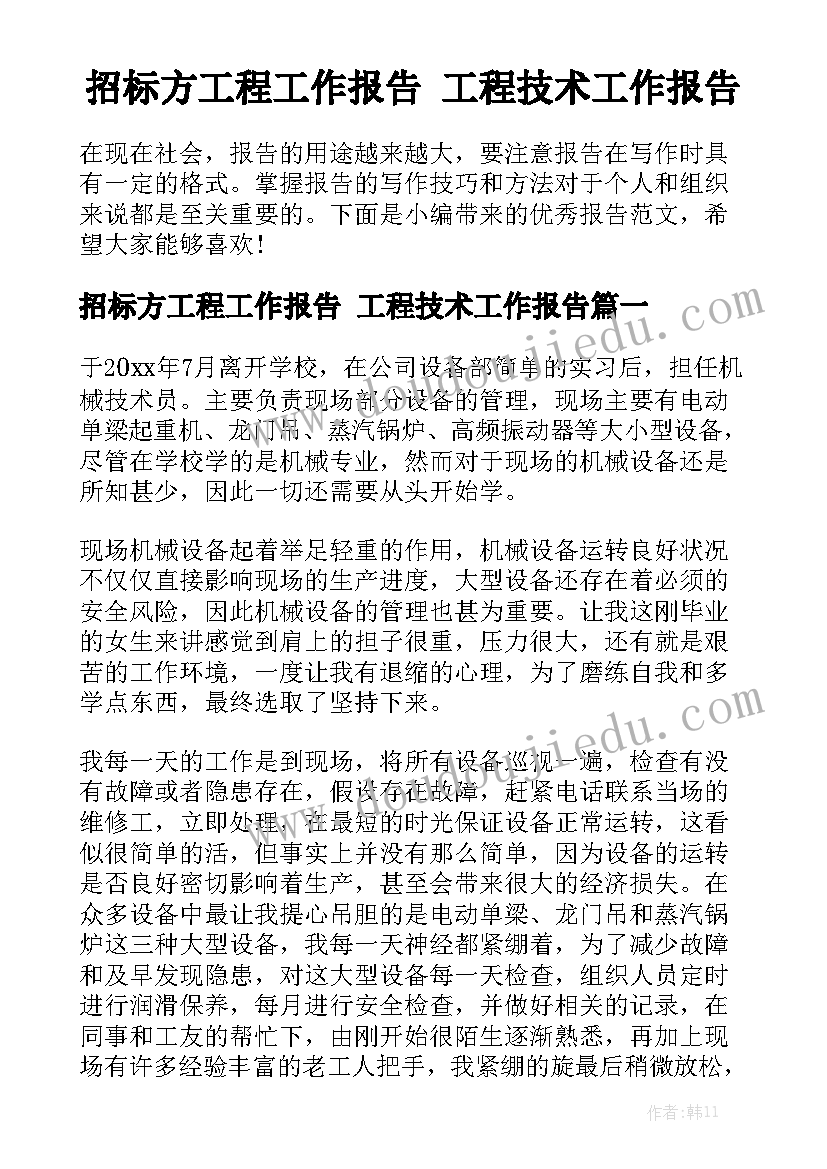 招标方工程工作报告 工程技术工作报告