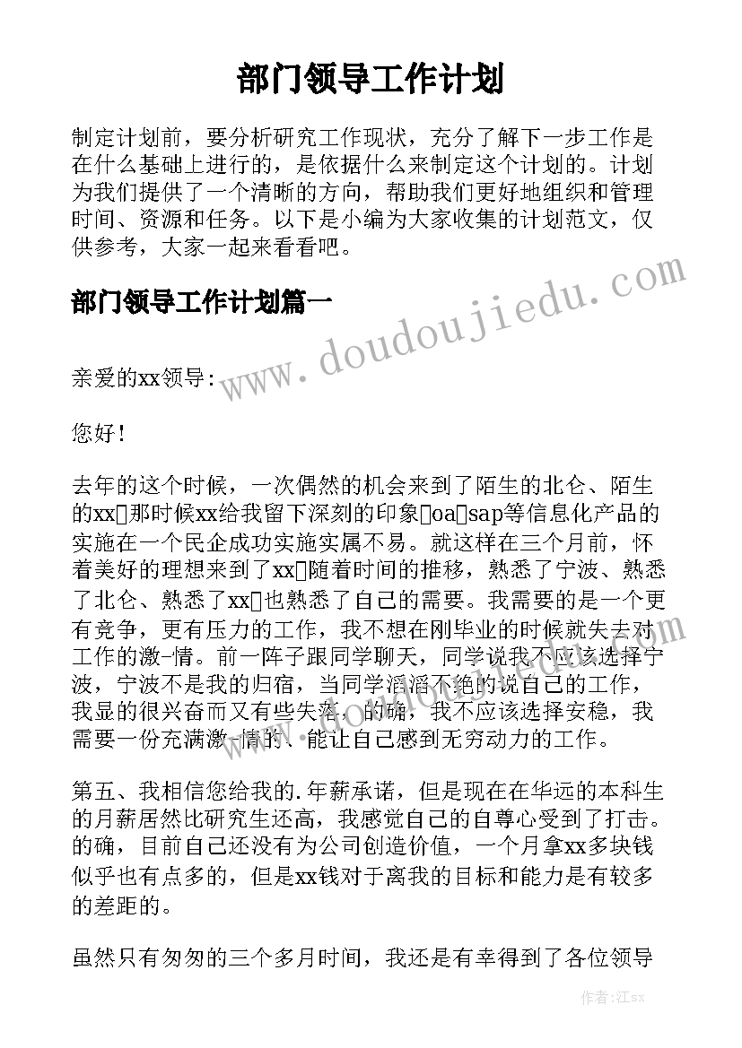 部门领导工作计划