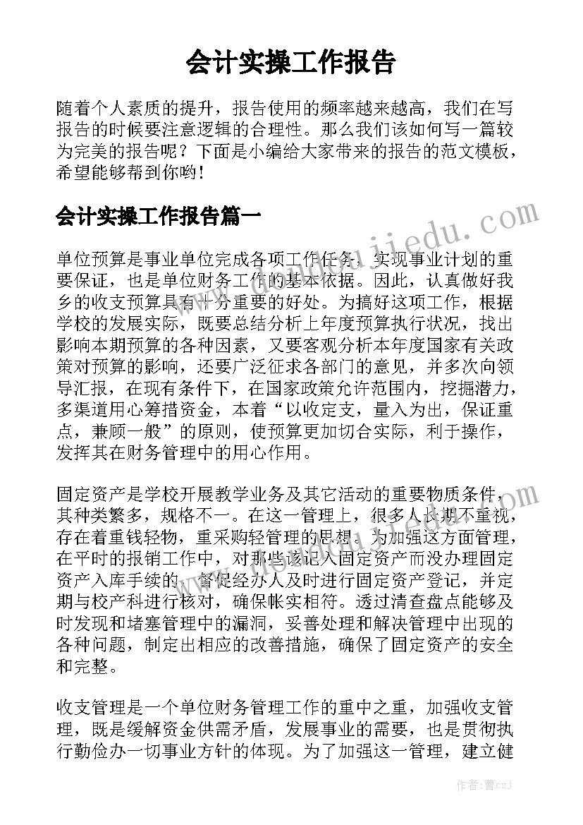 会计实操工作报告