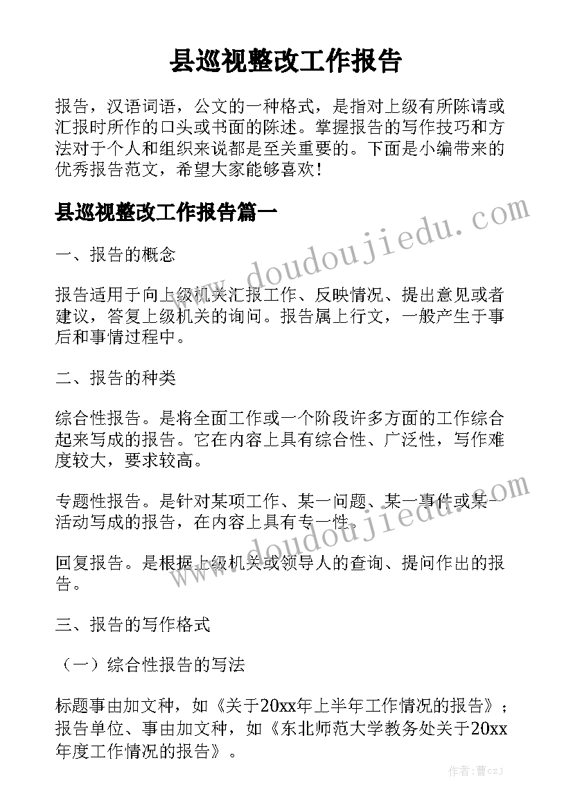 县巡视整改工作报告