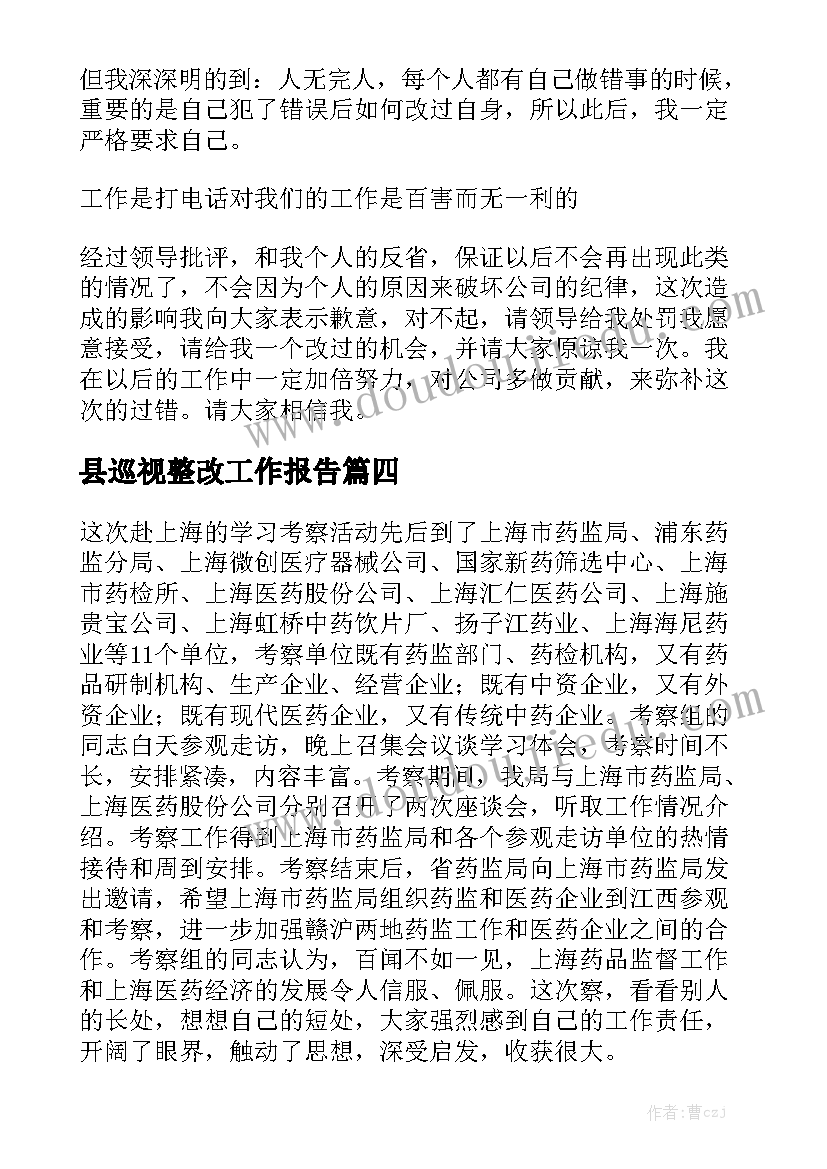 县巡视整改工作报告