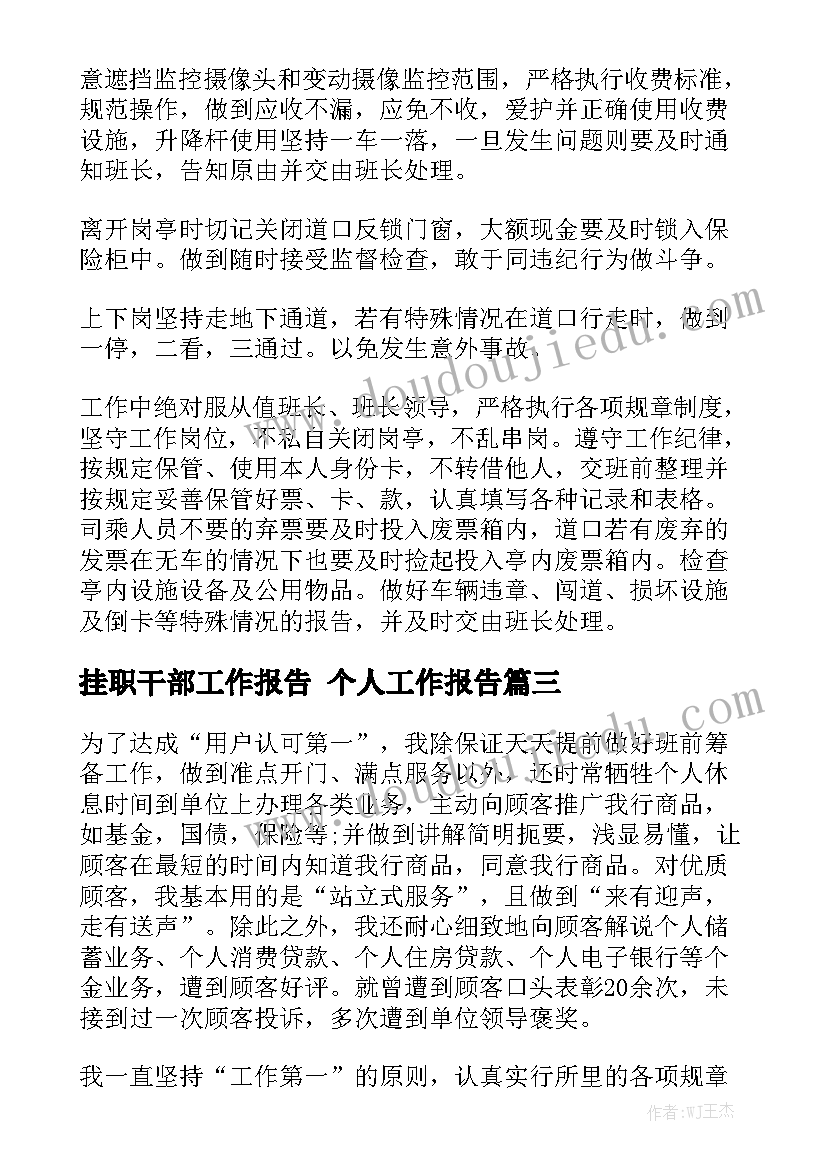 挂职干部工作报告 个人工作报告