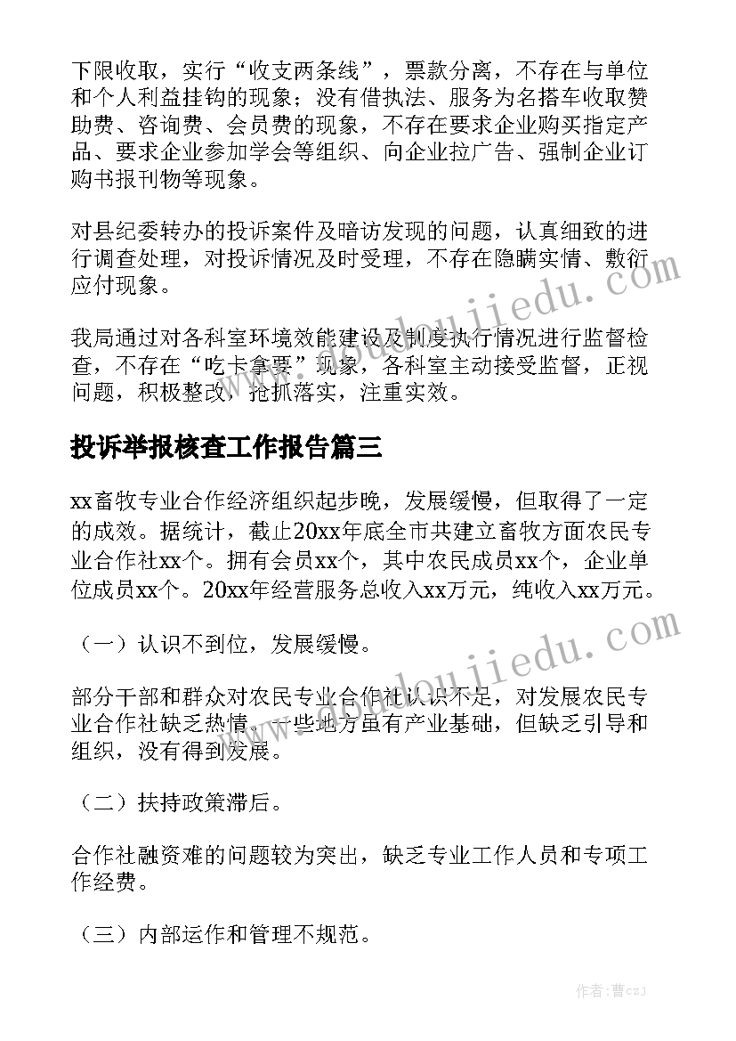 投诉举报核查工作报告