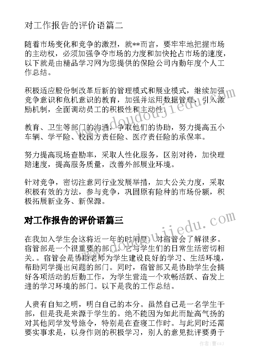 对工作报告的评价语