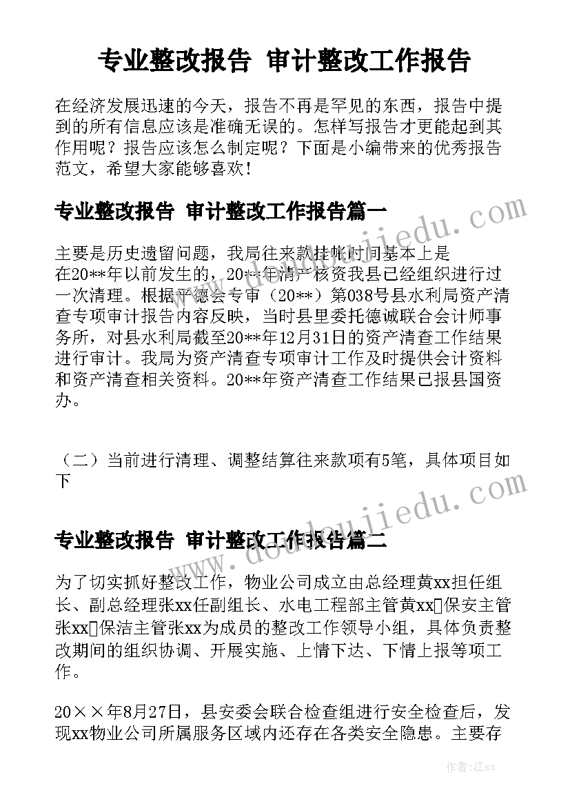 专业整改报告 审计整改工作报告