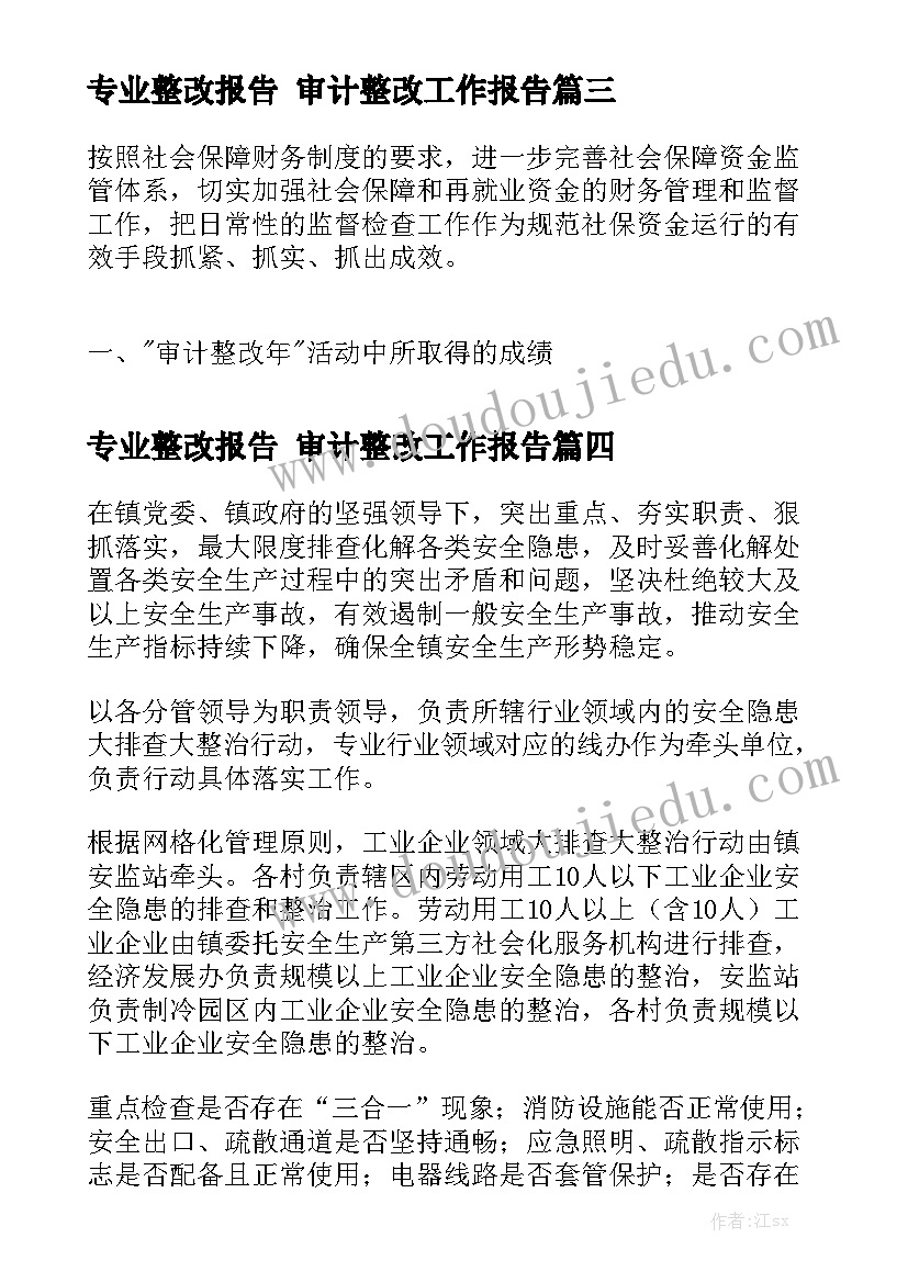 专业整改报告 审计整改工作报告