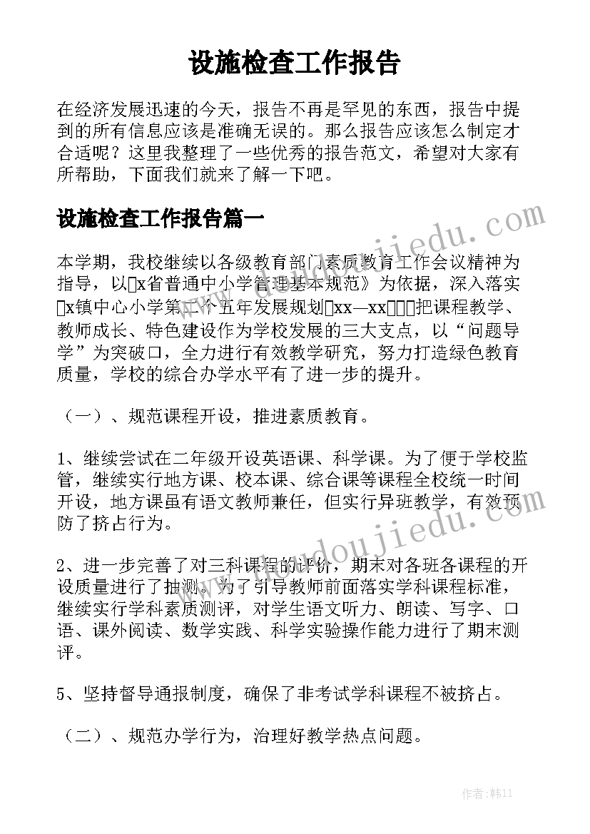 设施检查工作报告