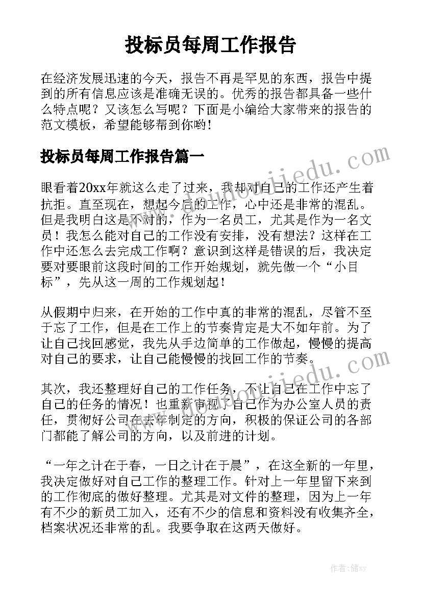 投标员每周工作报告