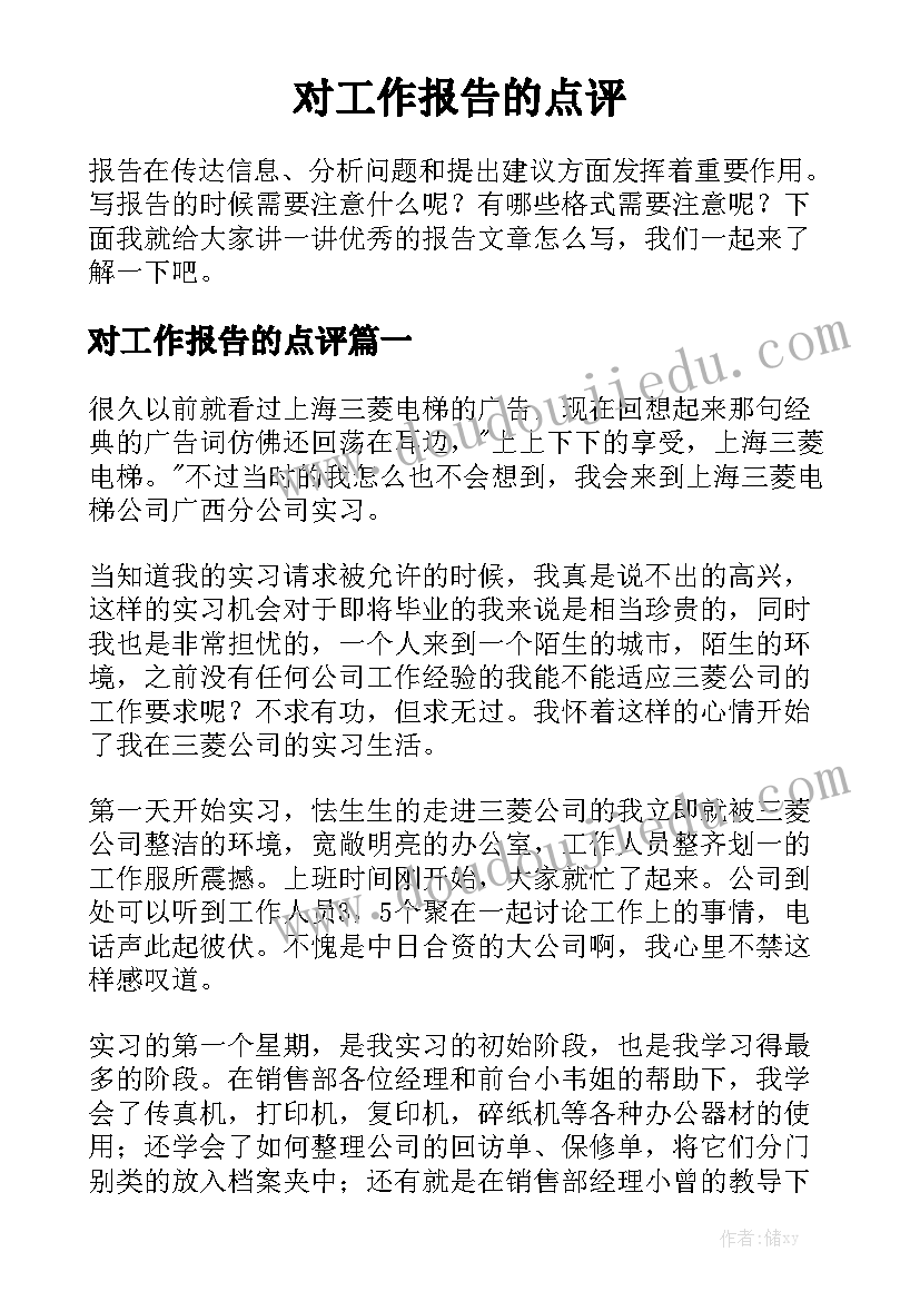 对工作报告的点评