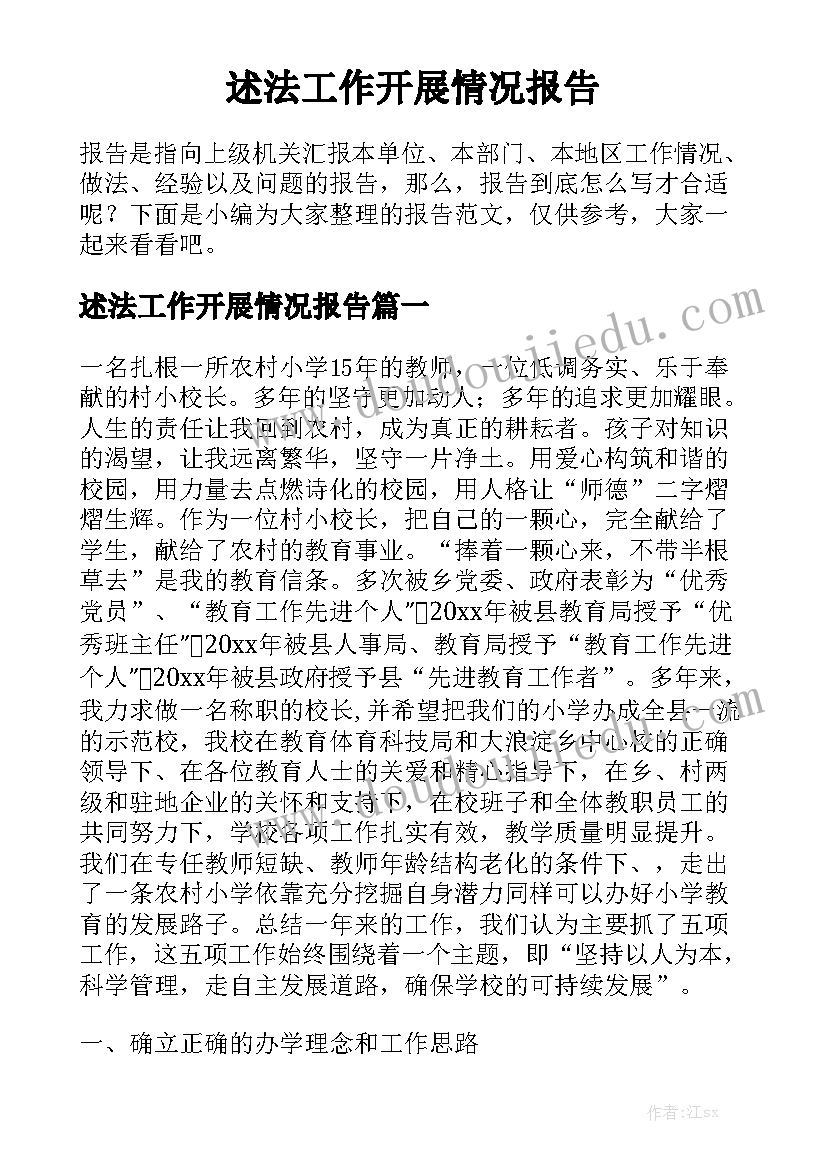 述法工作开展情况报告