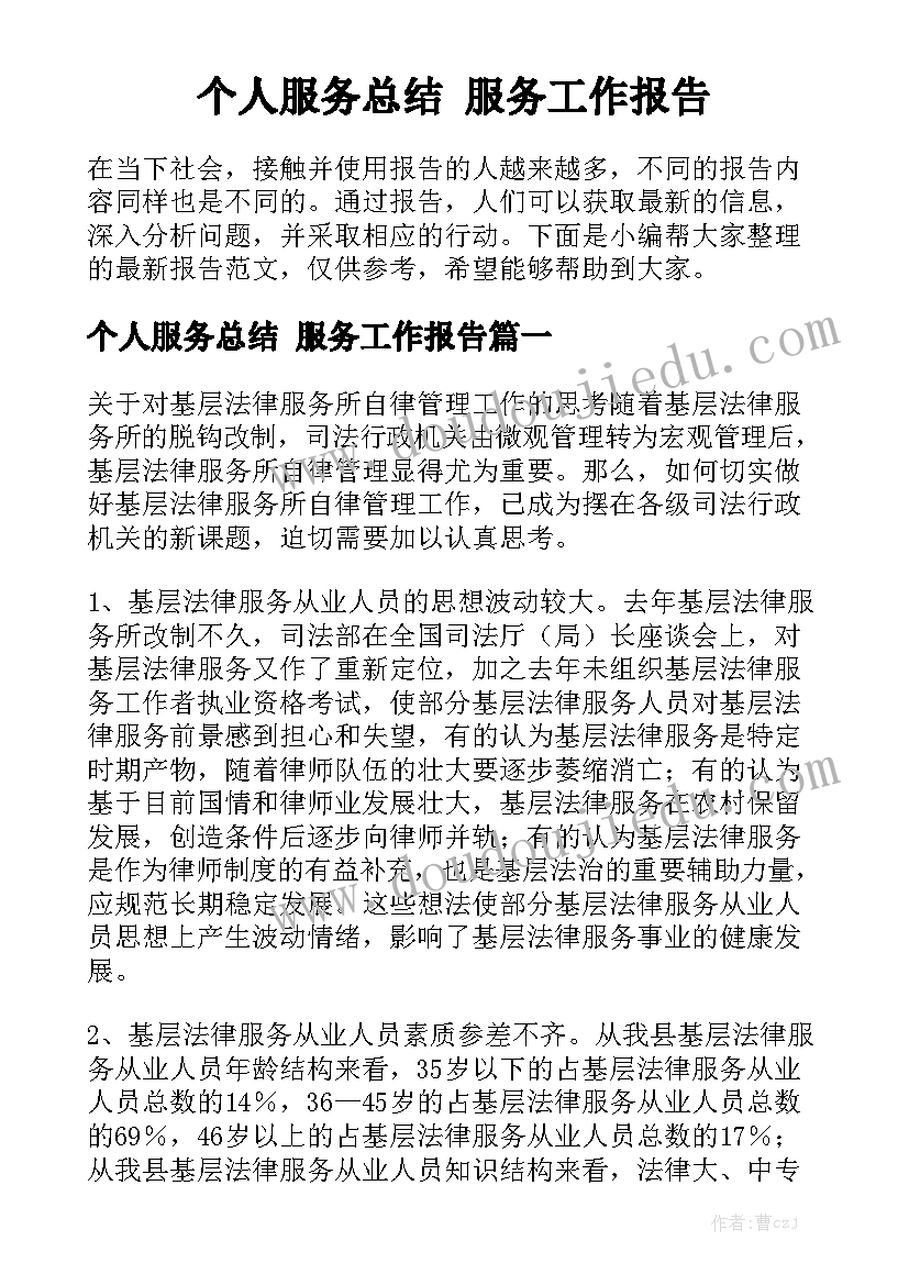 个人服务总结 服务工作报告