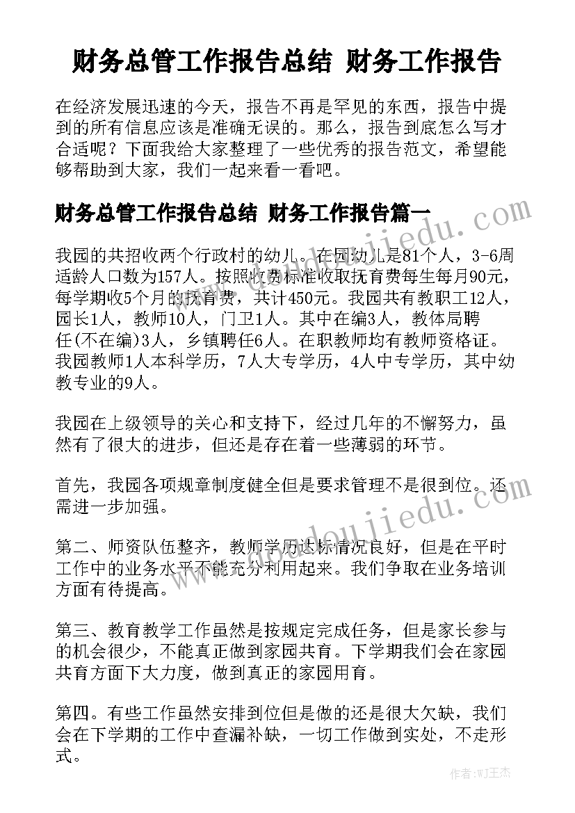 财务总管工作报告总结 财务工作报告