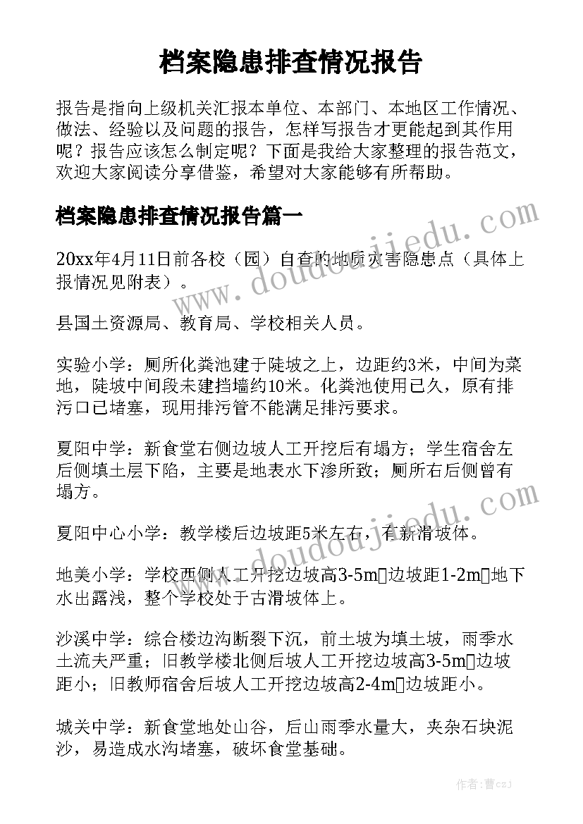 档案隐患排查情况报告