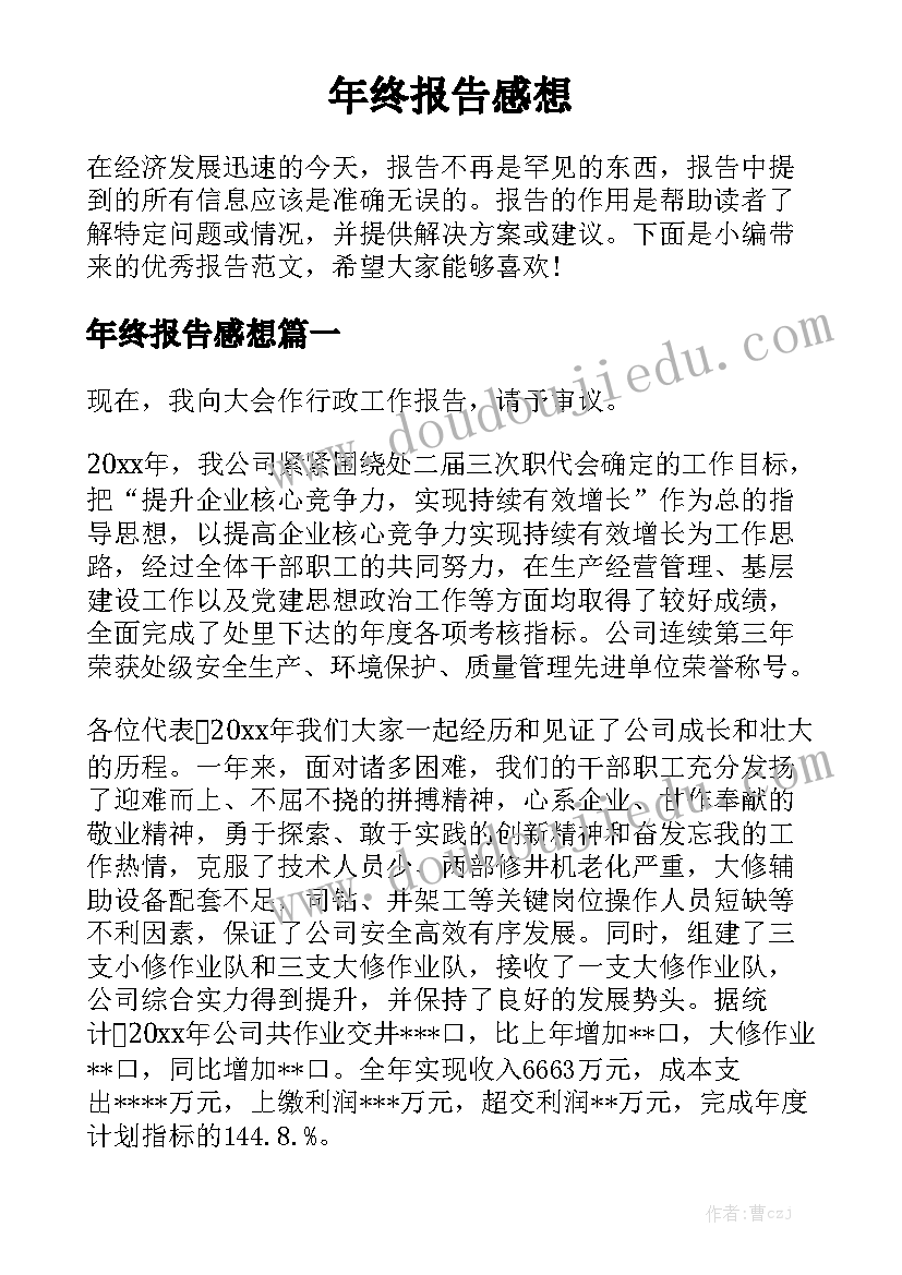 年终报告感想