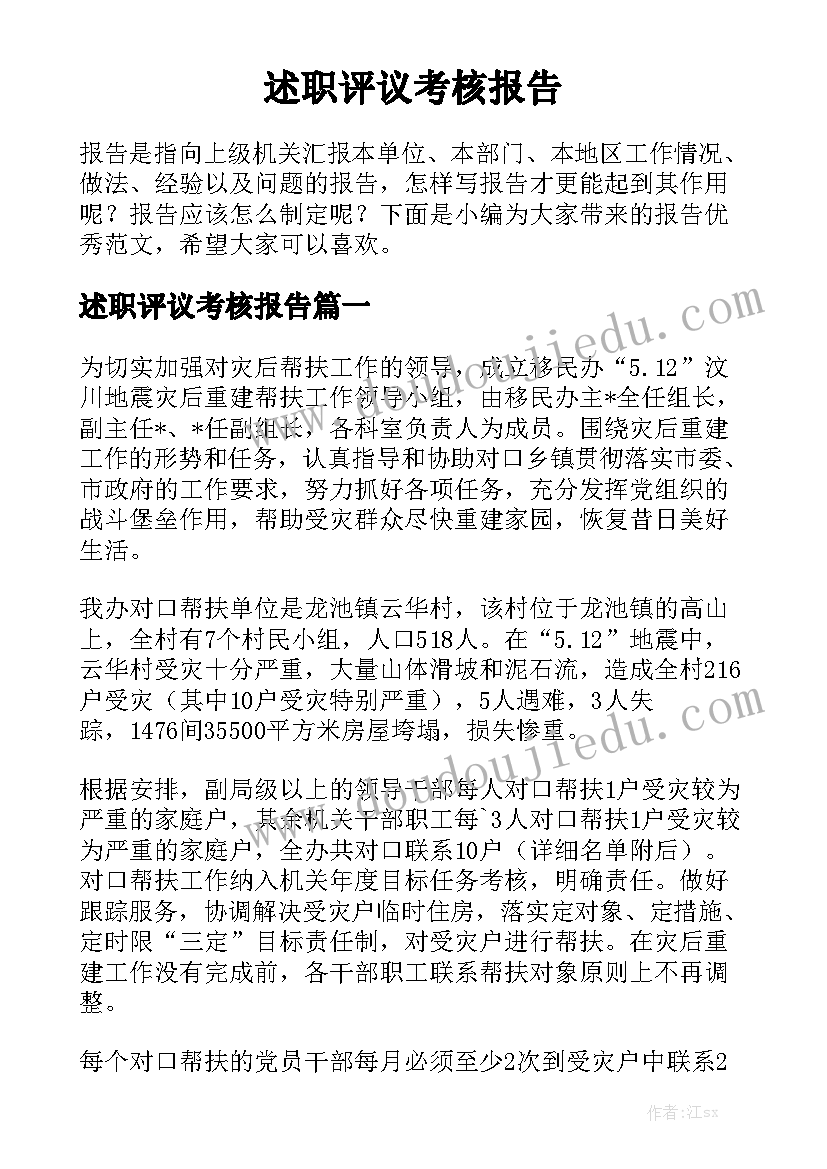 述职评议考核报告