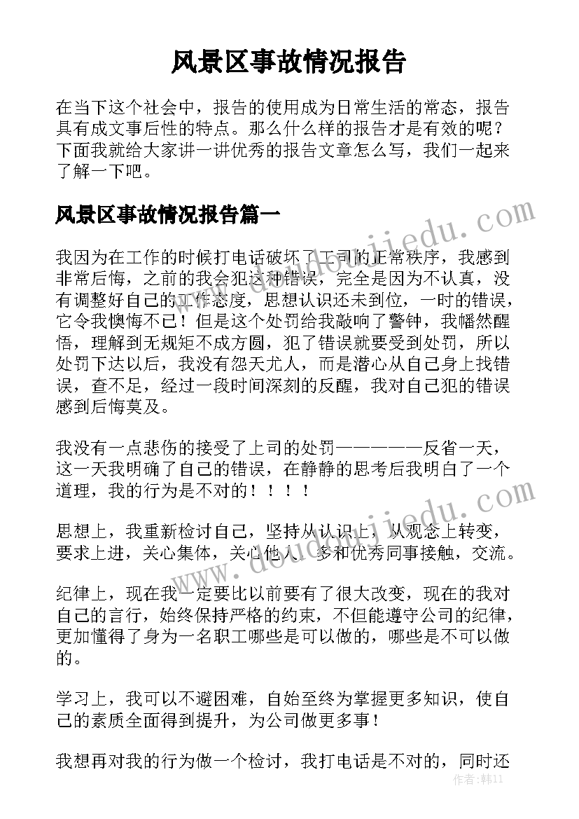 风景区事故情况报告