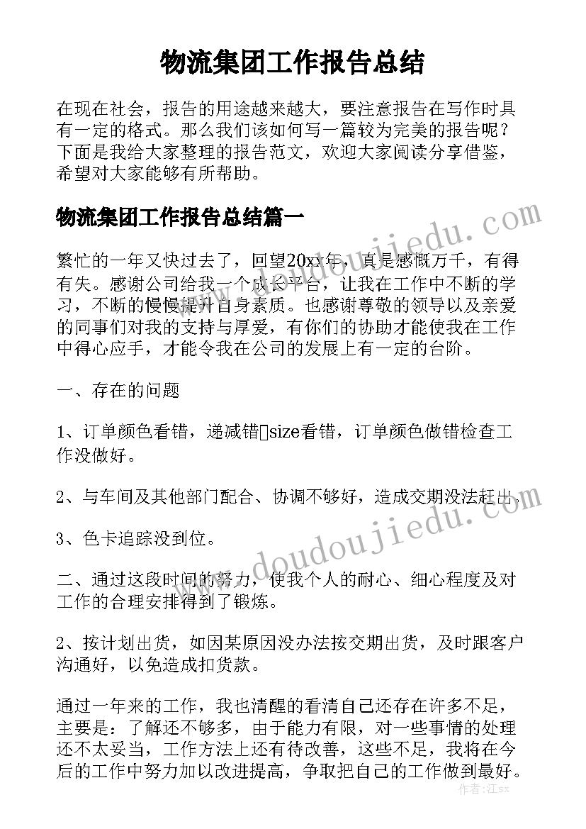 物流集团工作报告总结