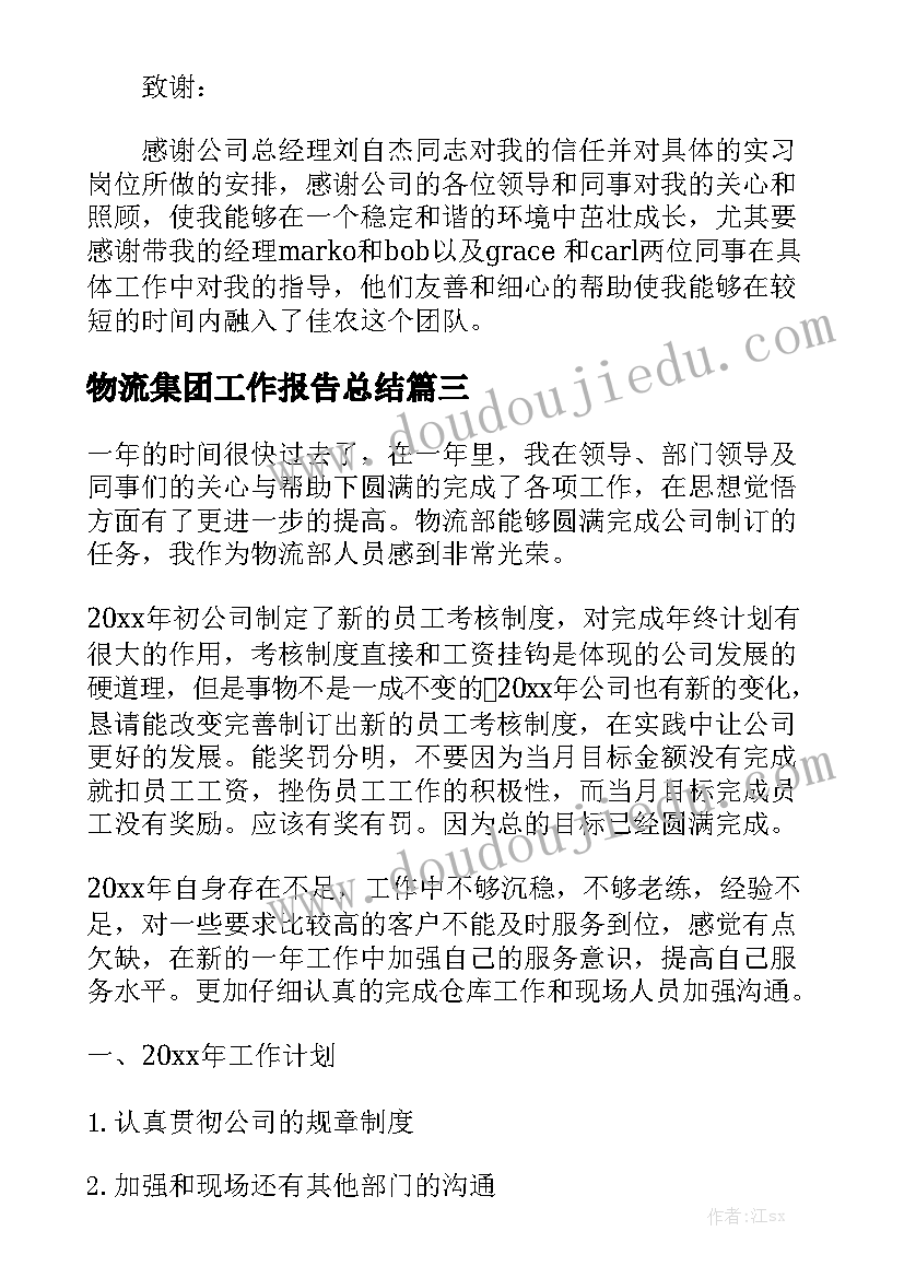 物流集团工作报告总结