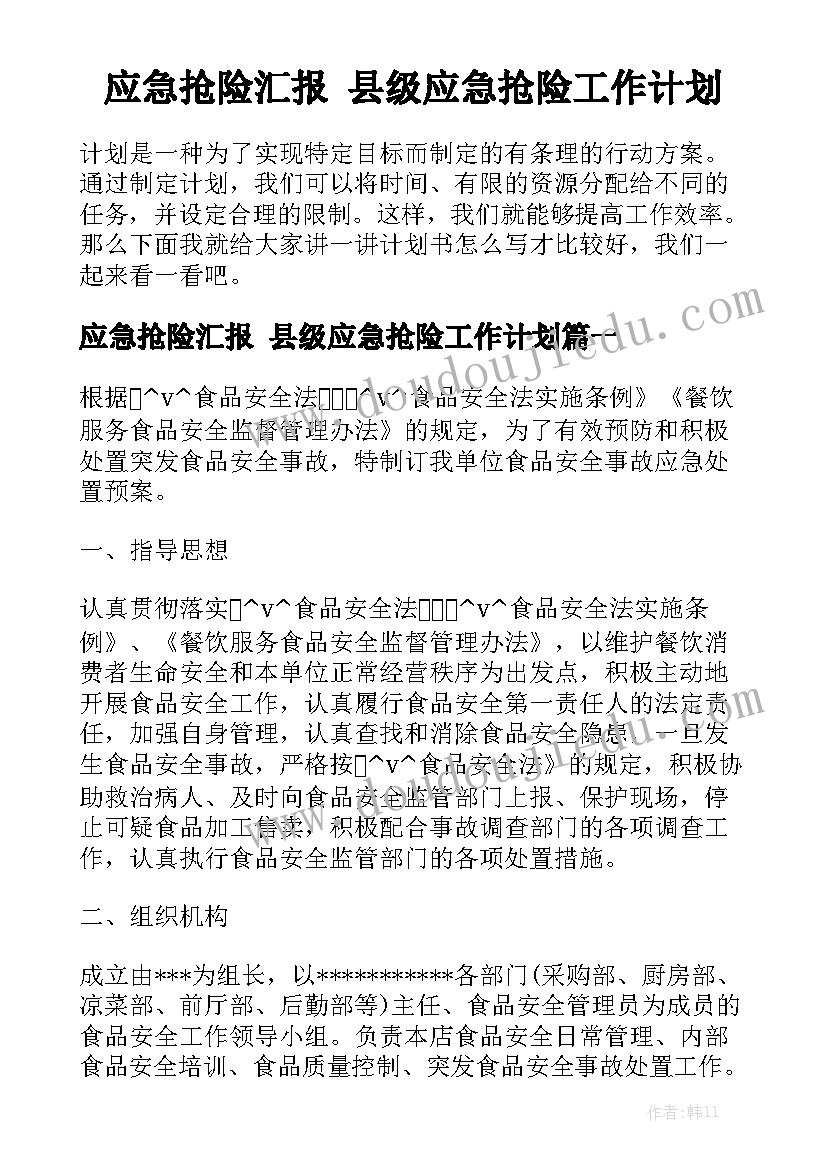 应急抢险汇报 县级应急抢险工作计划