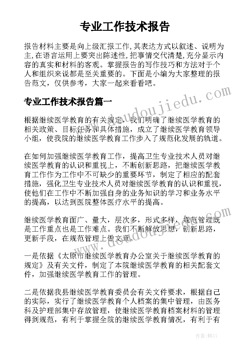 专业工作技术报告