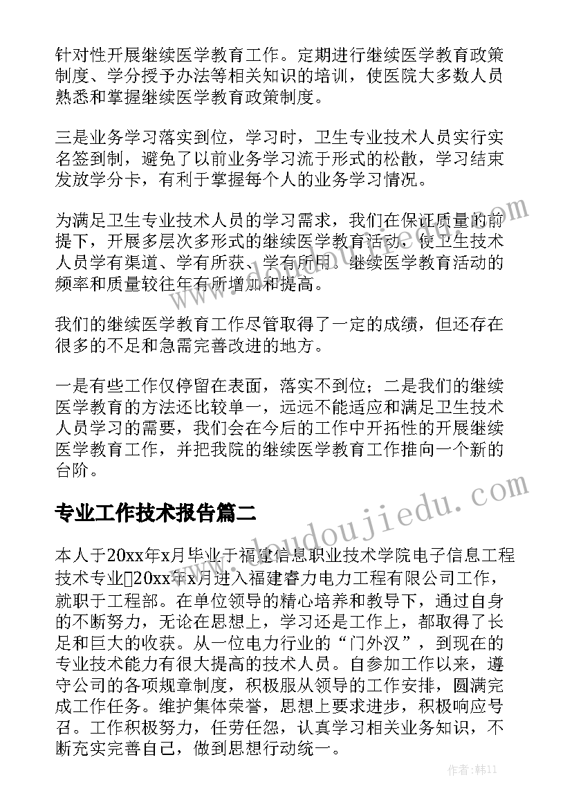 专业工作技术报告